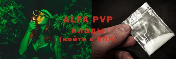 ешки Бородино
