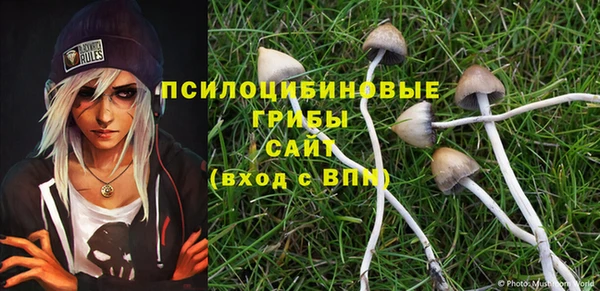 ешки Бородино